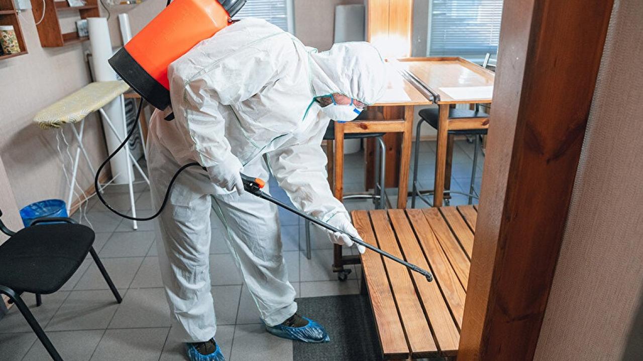 Böcek ailesinin ölümünde gözler oraya çevrildi: 3 şirketten biri kayıtdışı!