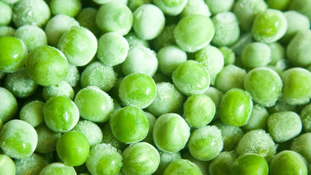 EBRD’den yerli dondurulmuş gıda şirketi Özgörkey’e dev finansman