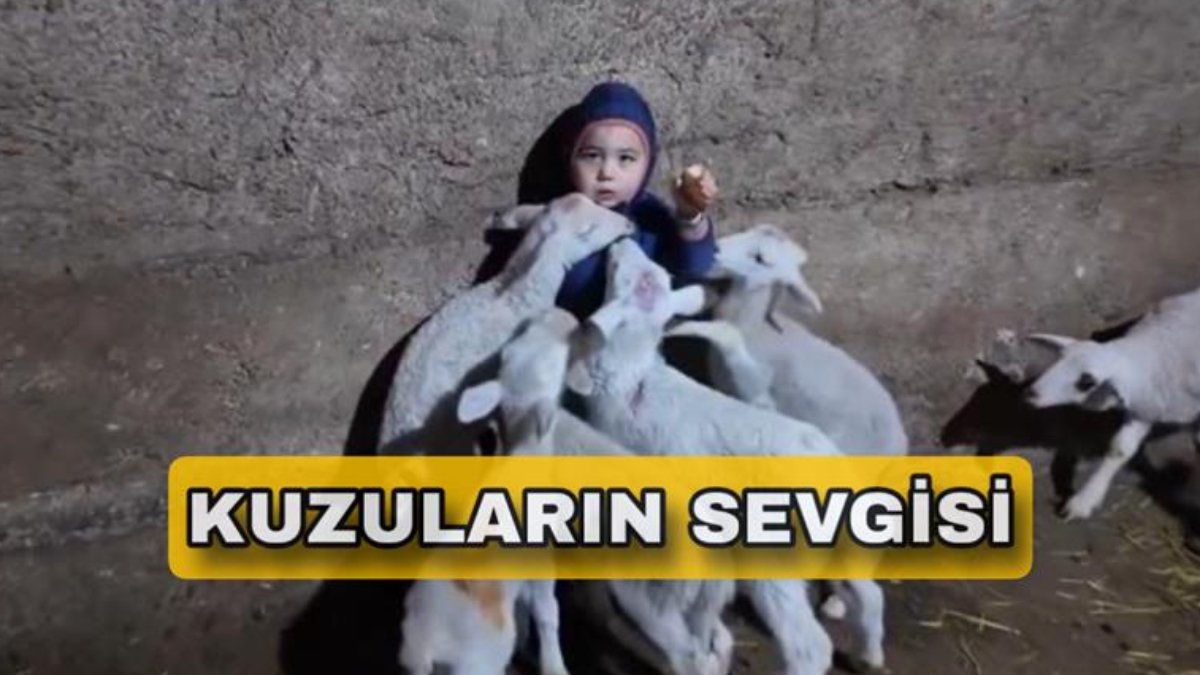 Etrafını kuzular sardı; O anlar içleri ısıttı…