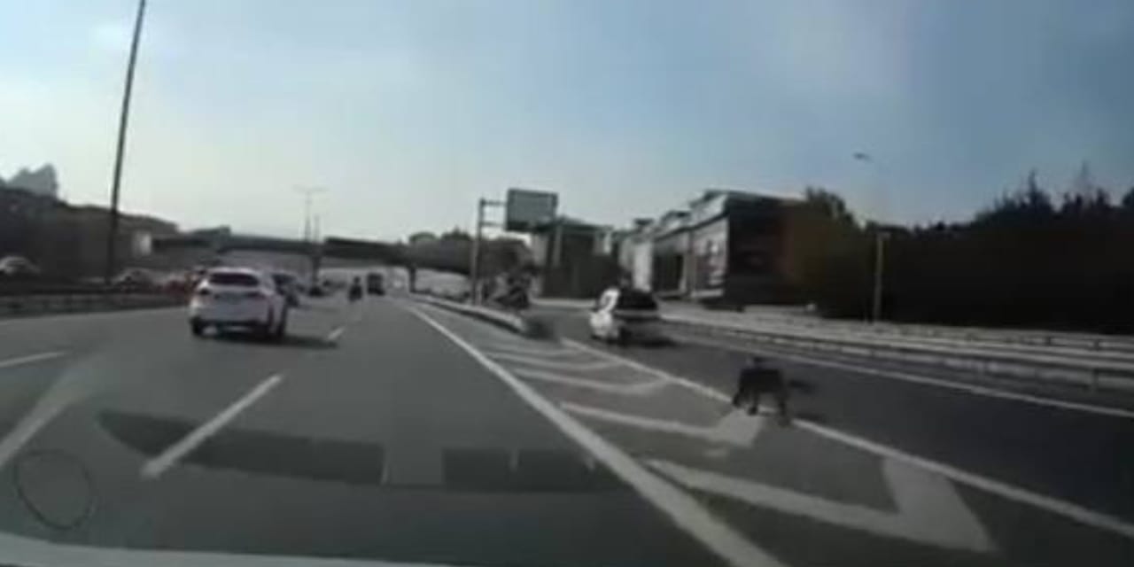 İstanbul’da dikkatsiz sürücü kazaya yol açtı! 1 yaralı