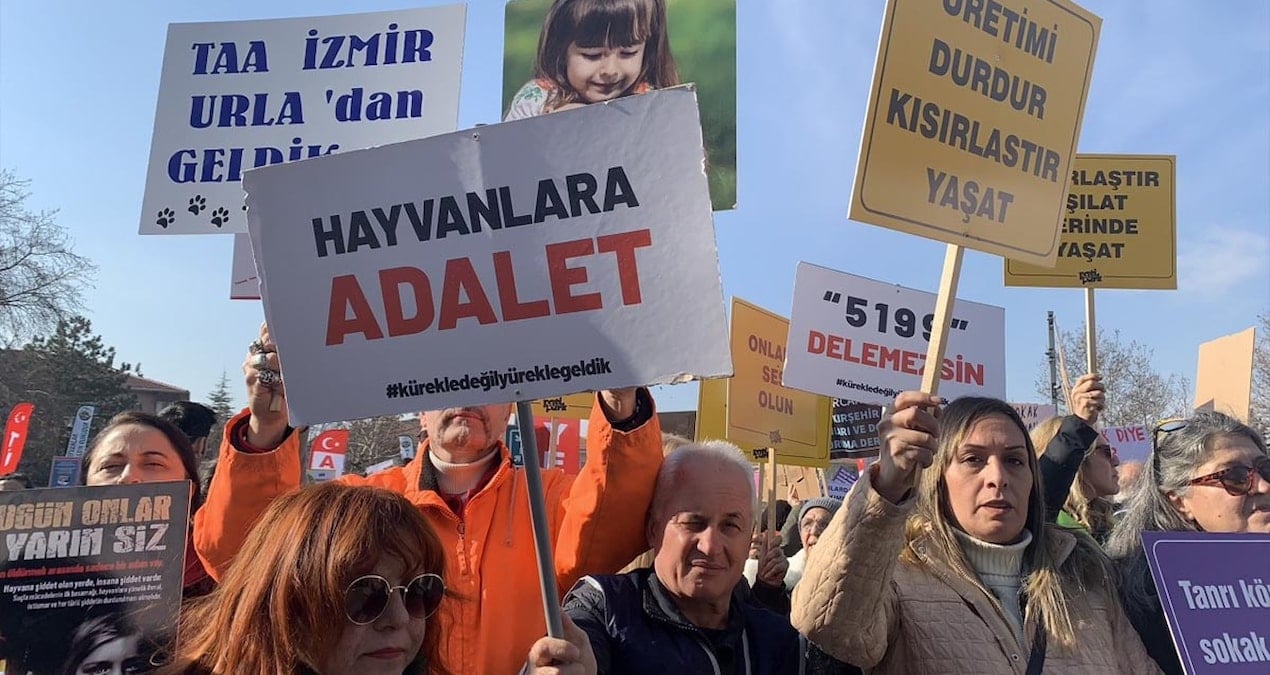 Sahipsiz köpeği sürüklediği iddia edilen çalışan serbest bırakıldı