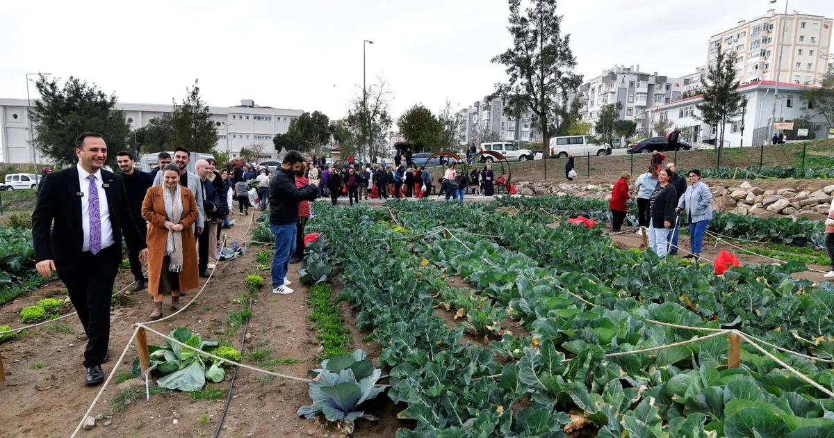 İzmir Bornova’da kent bostanlarında hasat coşkusu