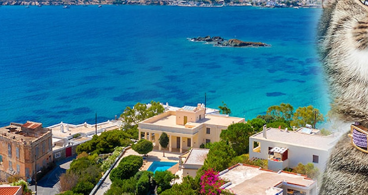 Bedava Konaklama Fırsatı: Bu Adada Yaşamak İçin Tek Şart