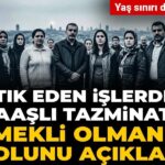 fitik-eden-islerden-maasli-tazminatli-emekli-olmanin-yolunu-acikladi-yas-siniri-da-yok-hhEGmT1b