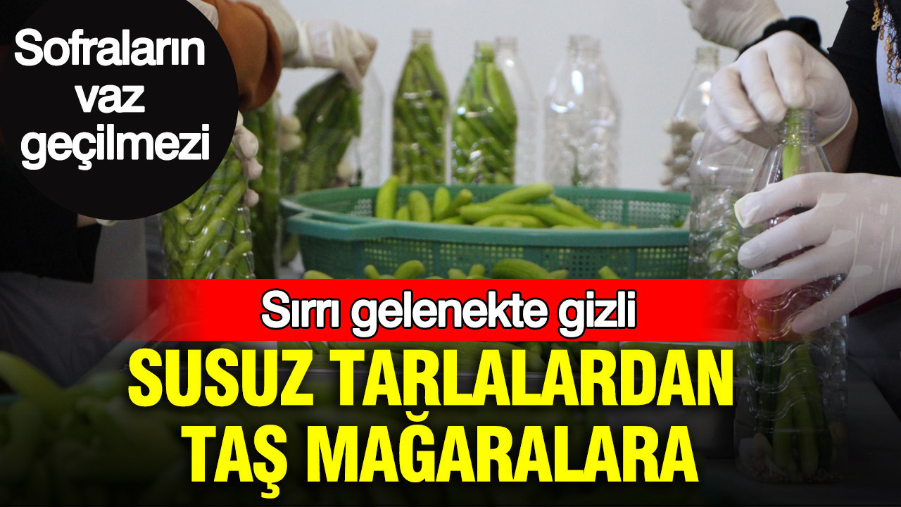 Susuz tarlalardan taş mağaralara: Sırrı gelenekte gizli: Üretim için kolları sıvadılar Haber gorseli